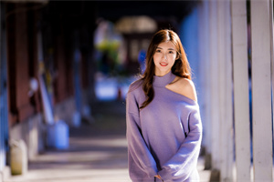 上海花千坊：上海投票系统的现代化进程